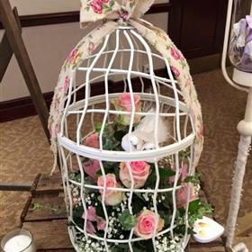 fwthumbbird cage.jpg